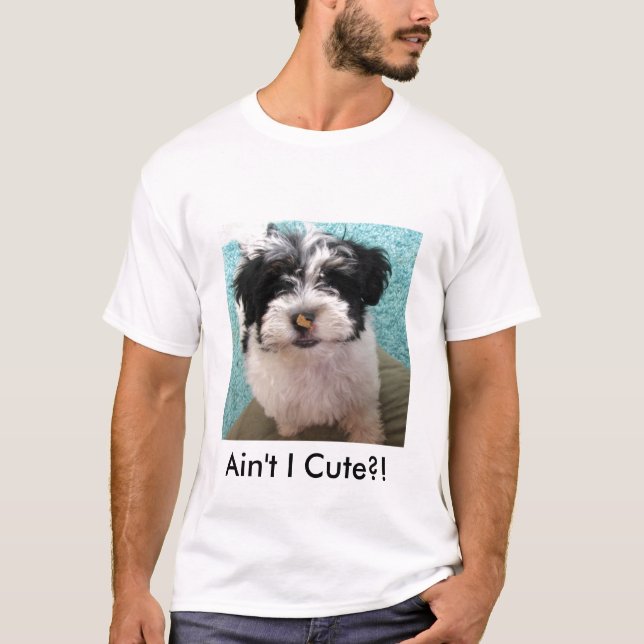 T-shirt Chiot de Havanese (Devant)