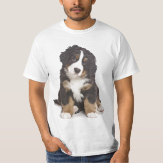 T-shirt Chiot de St Bernard
