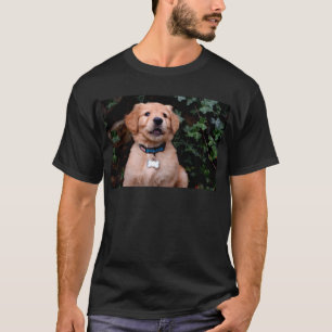 T-shirt Chiot Golden Retriever