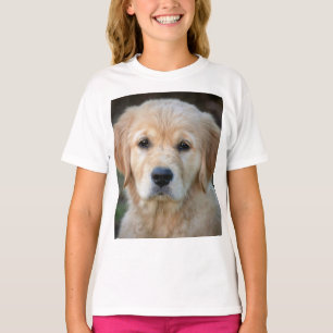 T-shirt Chiot Golden Retriever