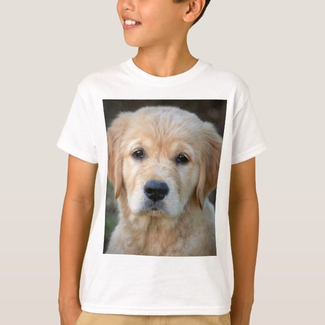 T-shirt Chiot Golden Retriever (Devant)
