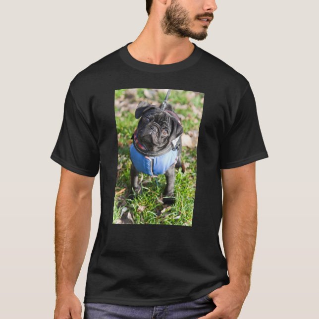 T-shirt Chiot noir de carlin utilisant une veste (Devant)