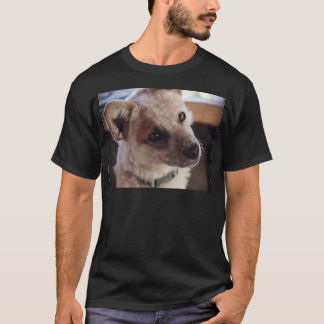 T-shirt Chiot Ringo du Queensland Heeler