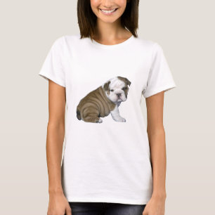 T-shirt Chiote Bouledogue Anglais (marron-blanc)