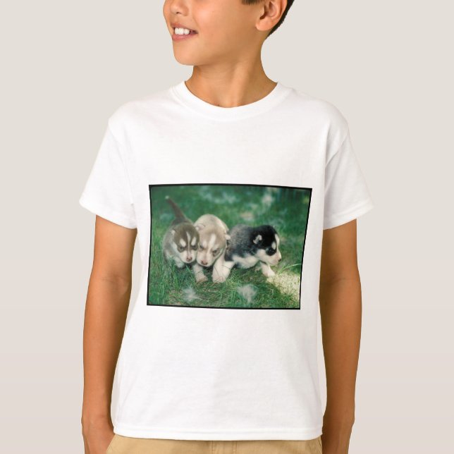 T-shirt Chiots de chien de traîneau sibérien (Devant)