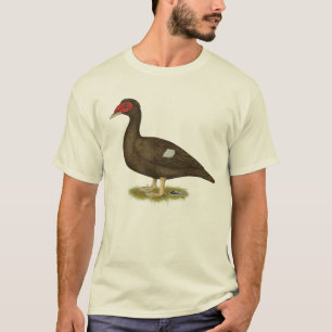 T-shirt Chocolat de canard à moisissures