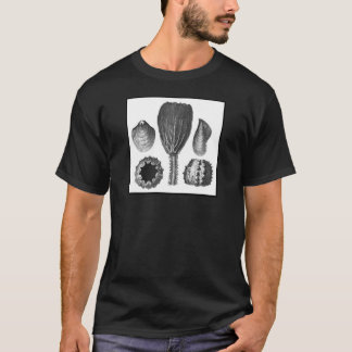 T-SHIRT CHOSES DE MER