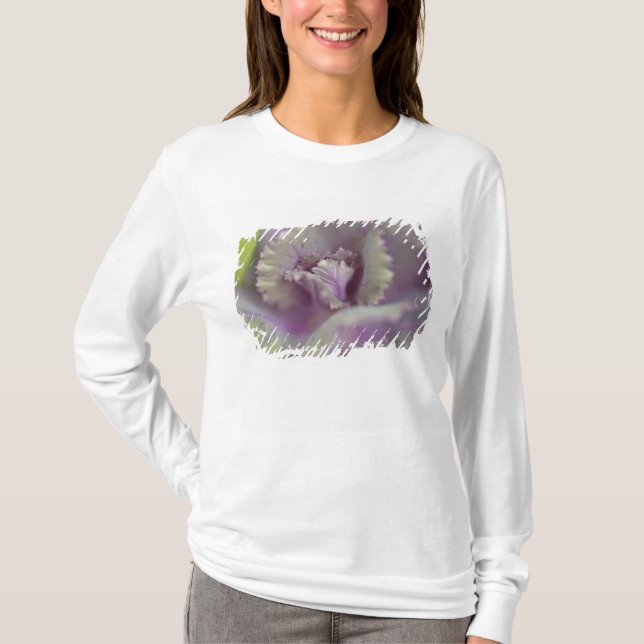 T-shirt Chou décoratif (Devant)