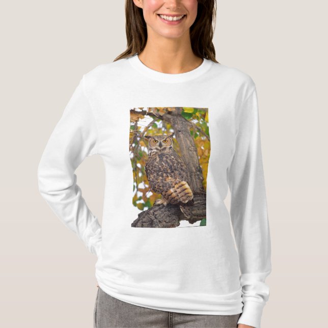 T-shirt Chouette à grande corne (Devant)