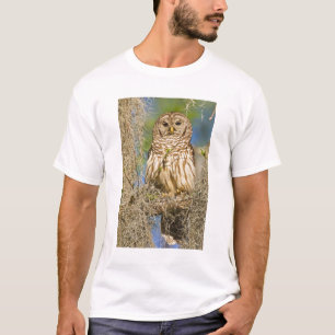T-shirt Chouette barrée (Strix varia) perchée dans un cypr
