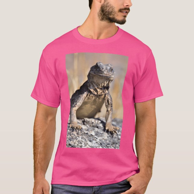 T-shirt Chuckwalla en veille active (Devant)
