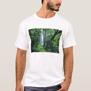 T-shirt Chutes de Hanakapiai le long de la côte Na Pali, K