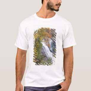 T-shirt Chutes de la rivière Bald