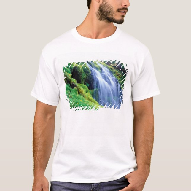 T-shirt Chutes de Proxy dans la partie centrale des Cascad (Devant)