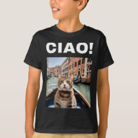 Ciao Chat Gondolier Drôle Sur Une Gondole Vénitien