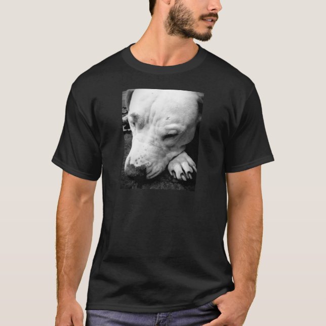 T-shirt cicatrice de harry potter chien pit bull blanc (Devant)
