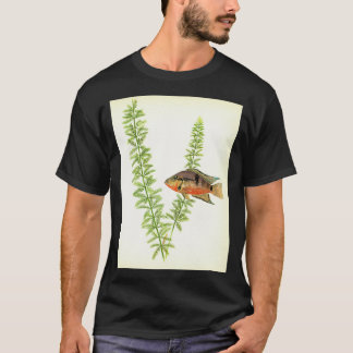 T-shirt Cichlid de Firemouth Thorichthys meeki