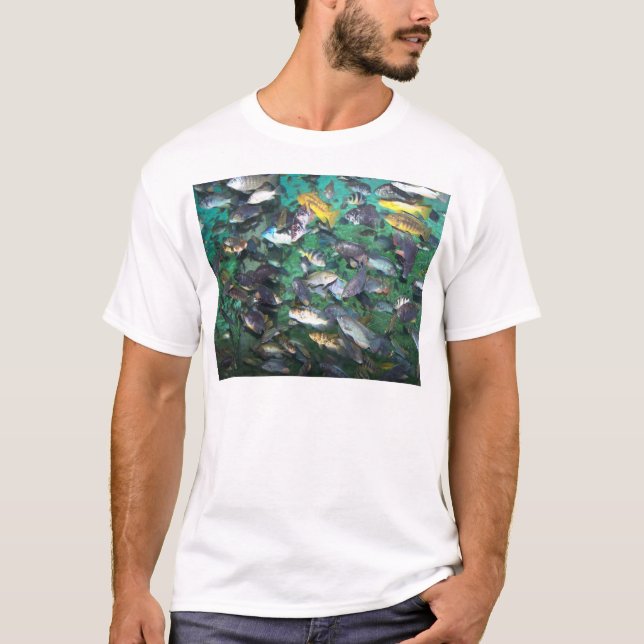 T-shirt Cichlids, cichlids, et plus de cichlids ! Poissons (Devant)
