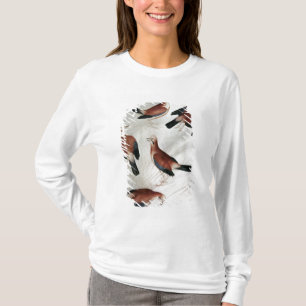 T-shirt Cinq geais, de l'album de Vallardi