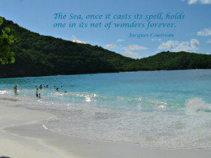 Cadeaux Cousteau Zazzle Fr