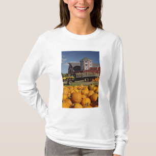 T-shirt Citrouilles à la ferme en automne près d'accord,