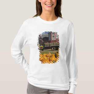 T-shirt Citrouilles dans une ferme en automne près de Conc