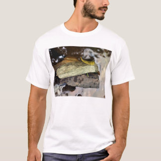 T-shirt classique anormal