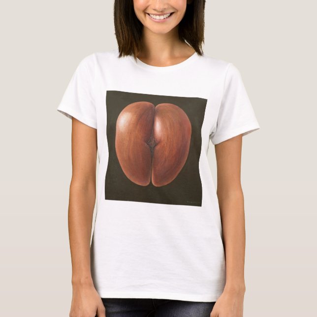 T-shirt Coco de Mer Maldives 2012 (Devant)