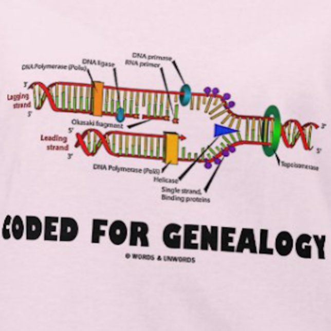 T-shirt Code Pour La Généalogie (Réplication De L'ADN) (If you're into genealogy - i.e., as your family's family historian - you'll enjoy this DNA humor tee)
