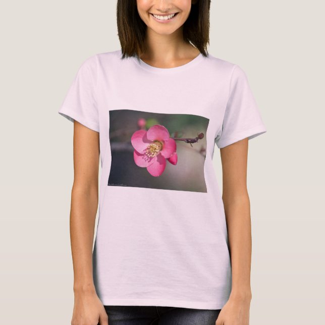 T-shirt Coingot de Fleur de Poirier Parfait Rose (Devant)