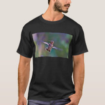 Colibri