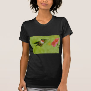 T-shirt colibri Rubis-throated (mâle) avec le rose de