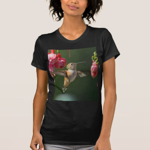 T-shirt Colibri Rufous alimentant sur un fuchsia