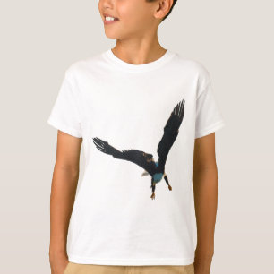 T-shirt Collection de vol de l'aigle à tête blanche