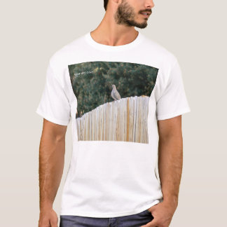 T-shirt Colombe de deuil