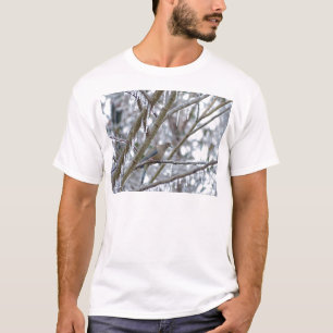 T-shirt Colombe de deuil