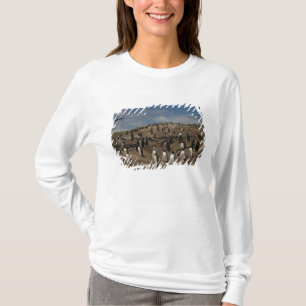 T-shirt Colonie de manchots papous (Pygoscelis papua) sur 