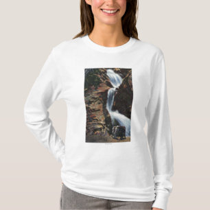 T-shirt Colorado Springs, Co - abaissez trois de l'automne