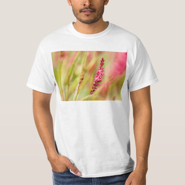 T-shirt coloris (Devant)