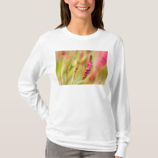 T-shirt coloris