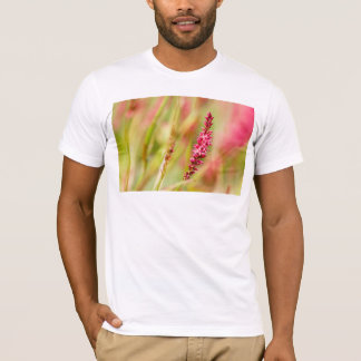 T-shirt coloris