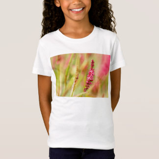 T-Shirt coloris