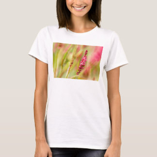 T-shirt coloris