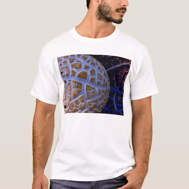 T-shirt compartimenté (Devant)