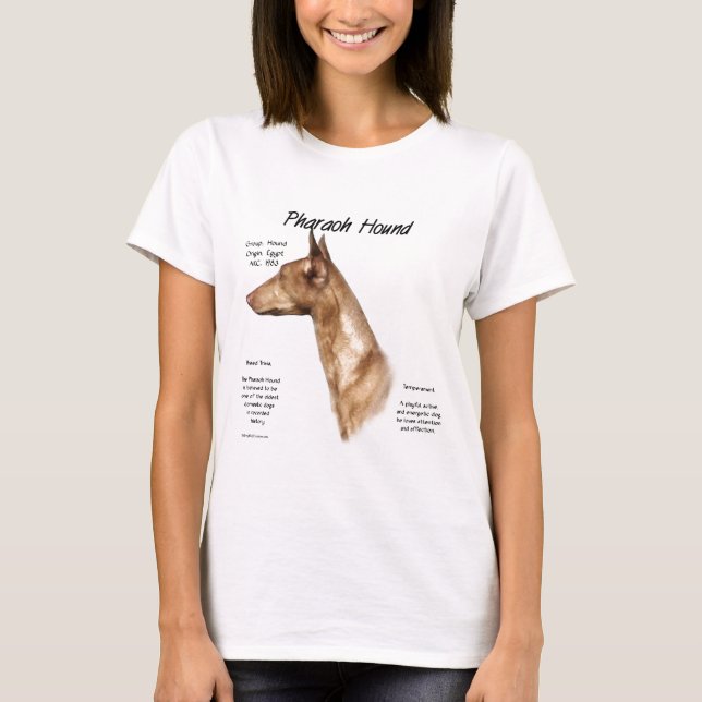 T-shirt Conception de l'histoire de la peau du pharaon (Devant)
