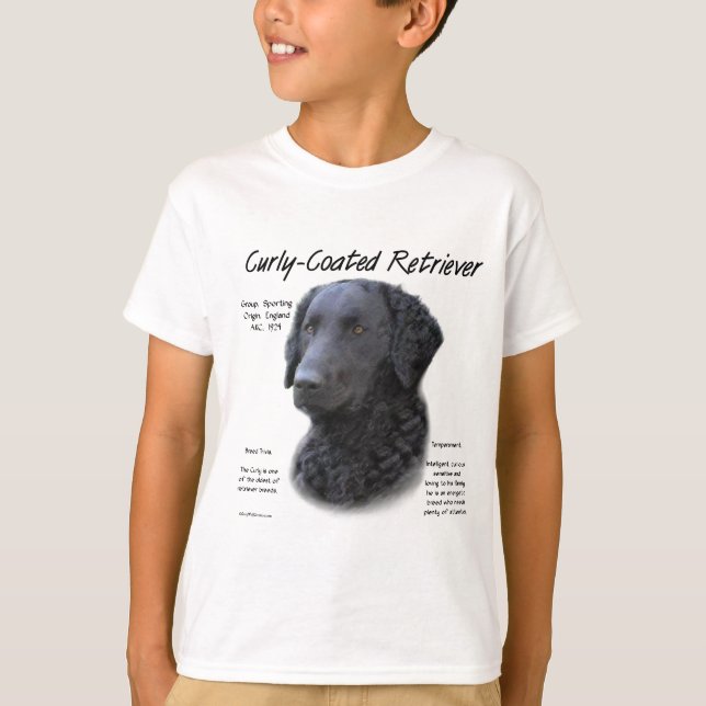T-shirt Conception de l'historique de l'extracteur recouve (Devant)