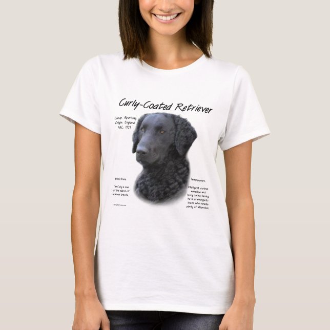 T-shirt Conception de l'historique de l'extracteur recouve (Devant)