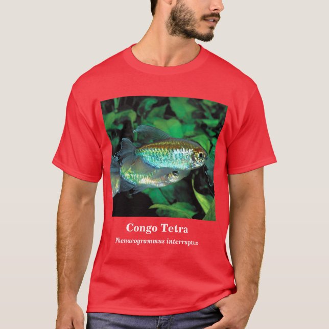 T-shirt Congo tetra , Phenacogrammus interruptus (Devant)