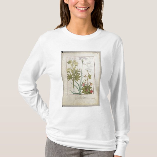 T-shirt Consiligo, Burreed et fraise (Devant)