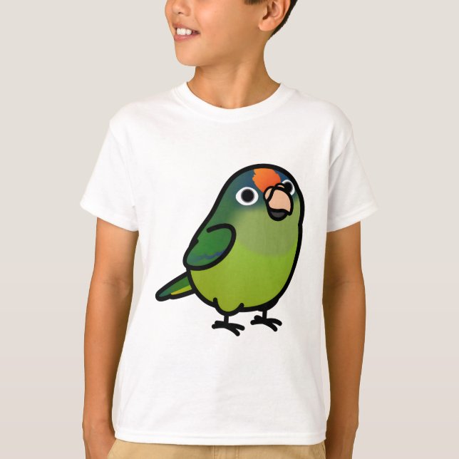 T-shirt Conure à front orange (Devant)